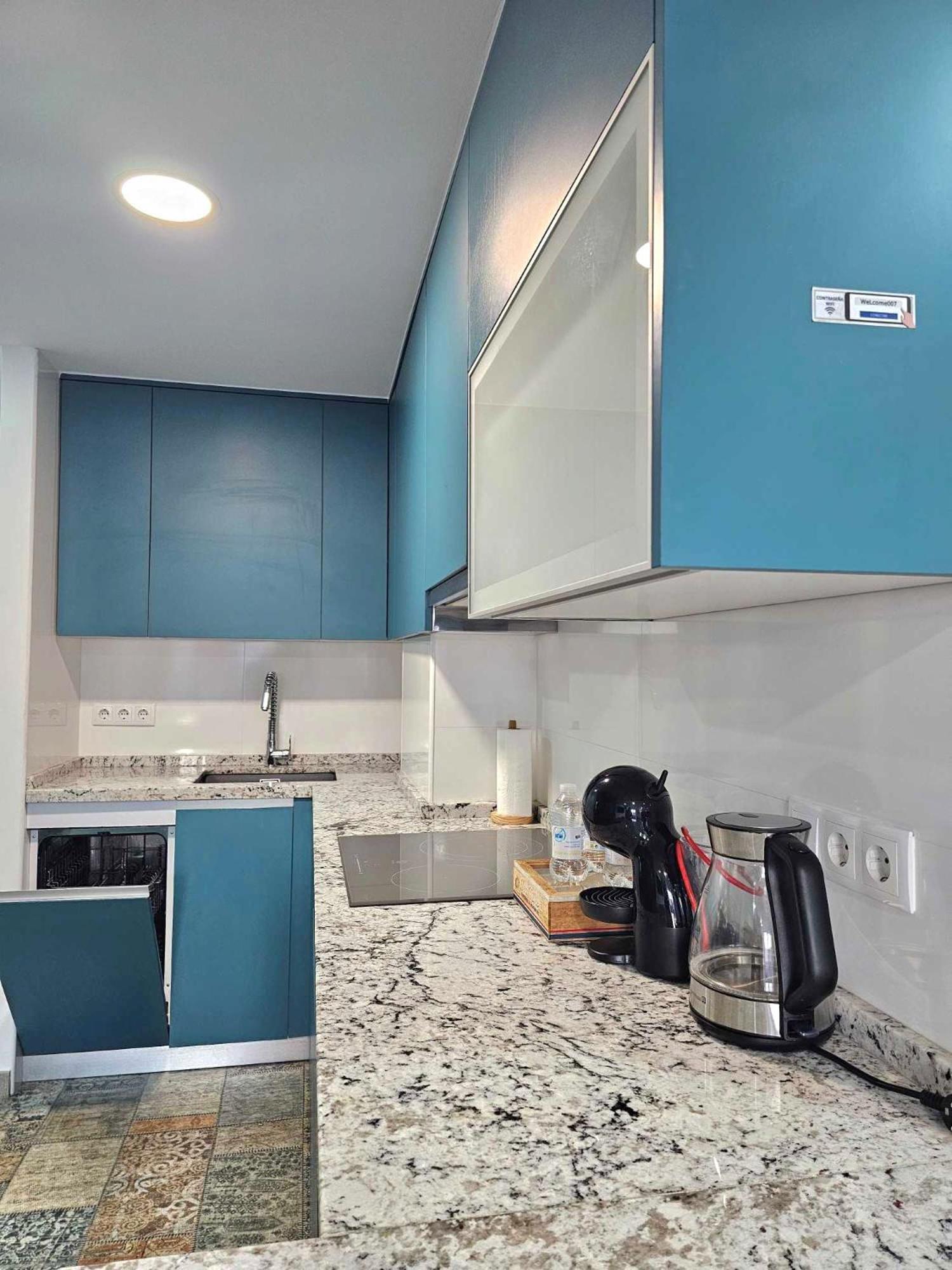 Suncastle Apartamentos Alicante -With Sunny Rooftop Terrace And Barbecue Экстерьер фото